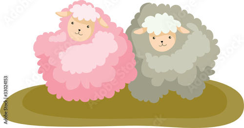 Sheep