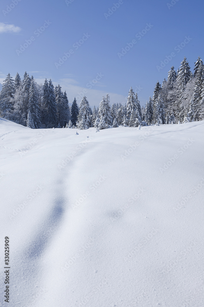 Winterweg im Alpstein