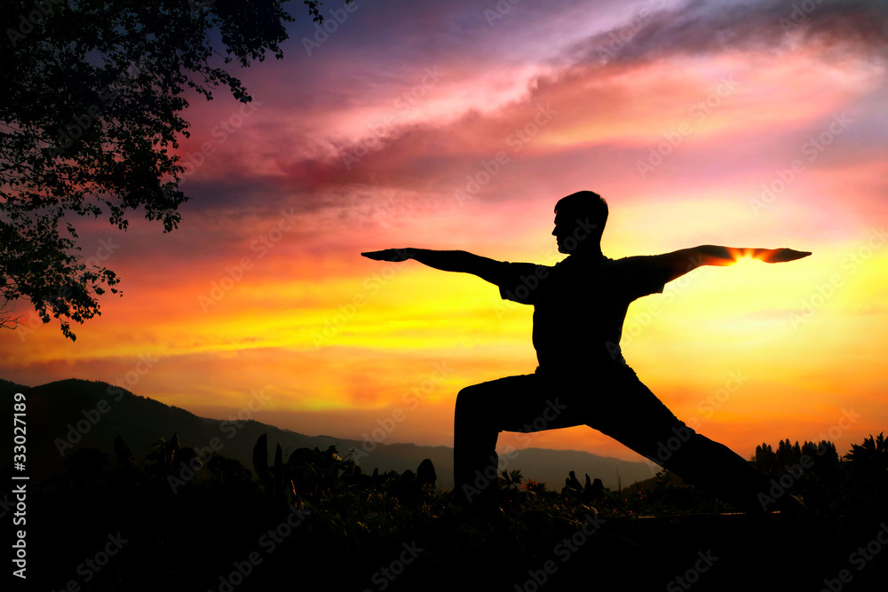 Yoga silhouette virabhadrasana II warrior pose