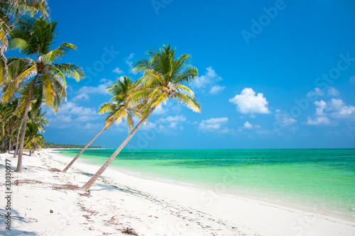 Palm trees hanging over a sandy white beach © Aleksandar Todorovic