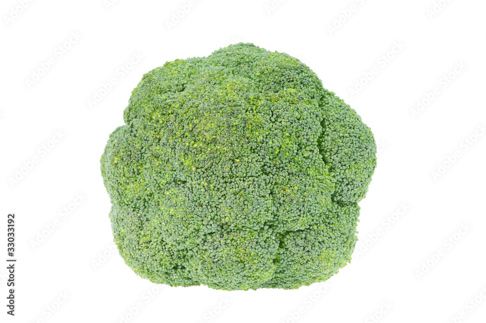 broccoli isolated on white