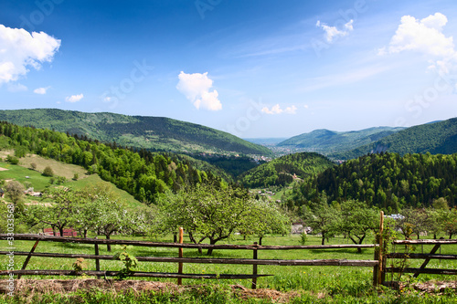 Carpathian Mountains.