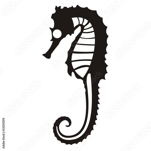 Caballito de mar