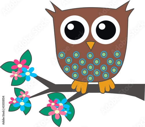 a cute little brown owl