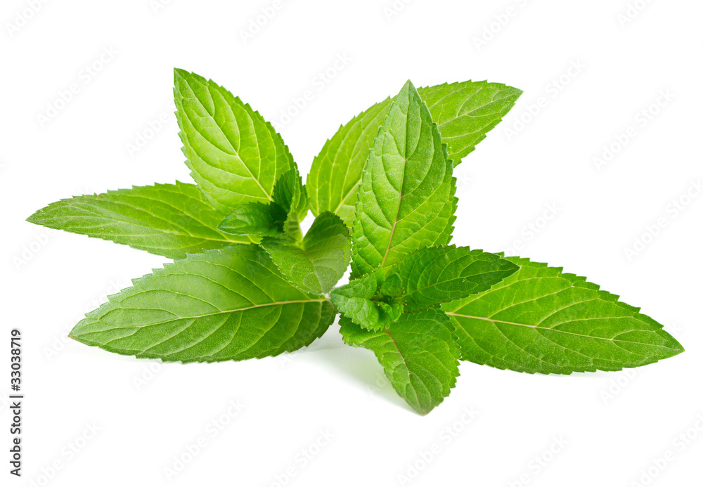 Fresh green mint isolated on white Fresh green mint isolated on white