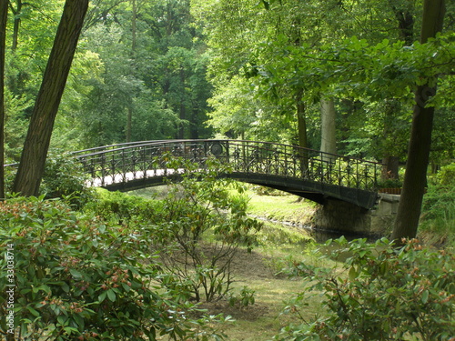 Parkowy pejzaż