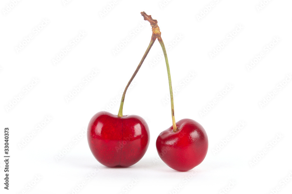 cherries on white background cherries on white background