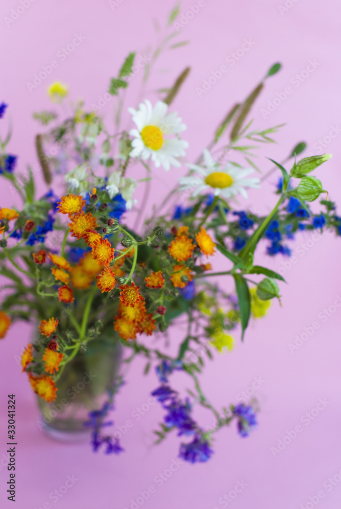 wild flowers on a pink background wild flowers on a pink background