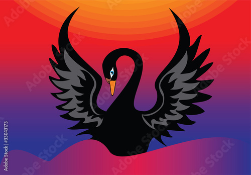 black swan