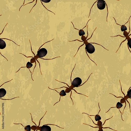 seamless texture with ants