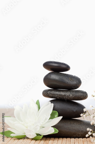 White lotus blossom with a black stoness stack a small white flo