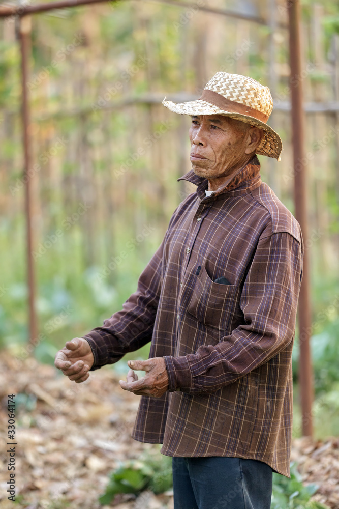 thai asian farmer