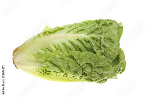 Little gem lettuce