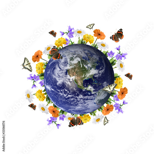 Fototapeta Naklejka Na Ścianę i Meble -  Trees and flowers