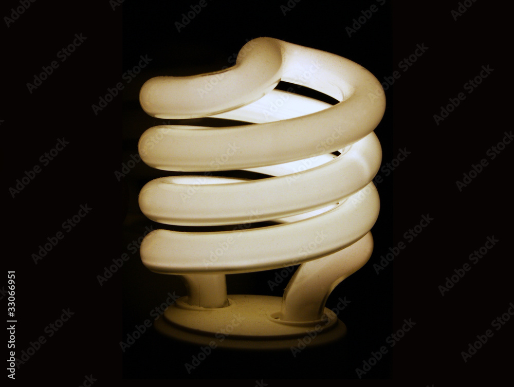 Energy Saving Lightbulb Energy Saving Lightbulb