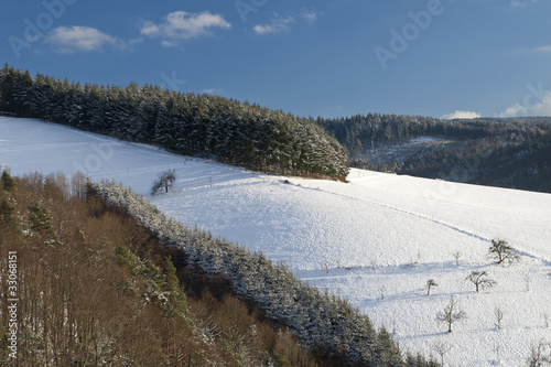 Wallpaper Mural Schuttertal im Winter Torontodigital.ca