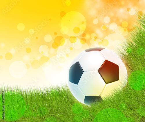 Soccer ball on the grass © solvod
