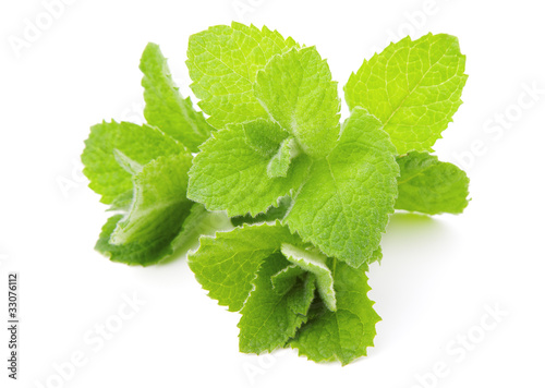 Mint, isolated on white background