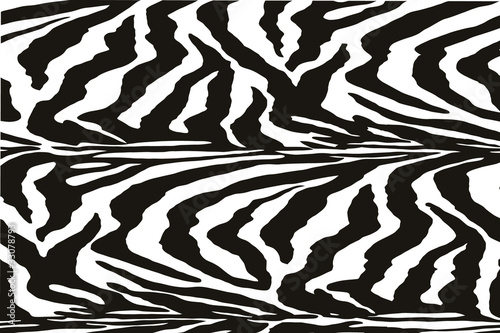 Vector Zebra