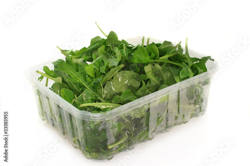 Rucola