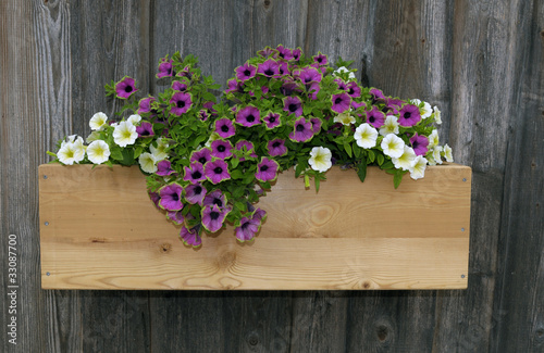 Wood flower box