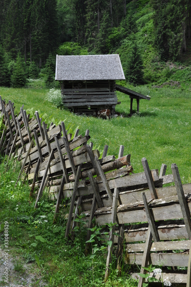Zaun und Almhütte im Hollersbachtal