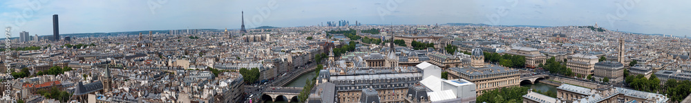 Panorama of Paris from Notre Dame. France