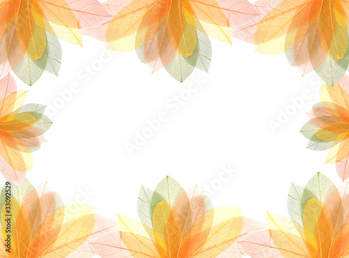 Transparent autumn leaves frame
