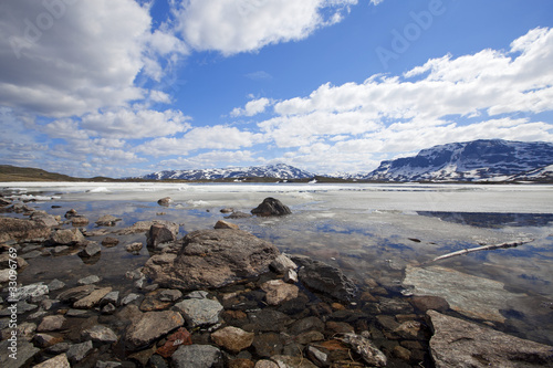 Haukeli in the summer photo