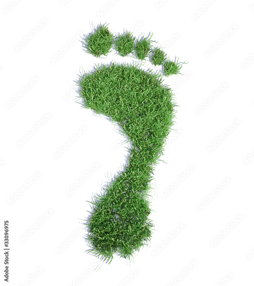 Ecological footprint concept - grass patch footrpint Ecological footprint concept - grass patch footrpint
