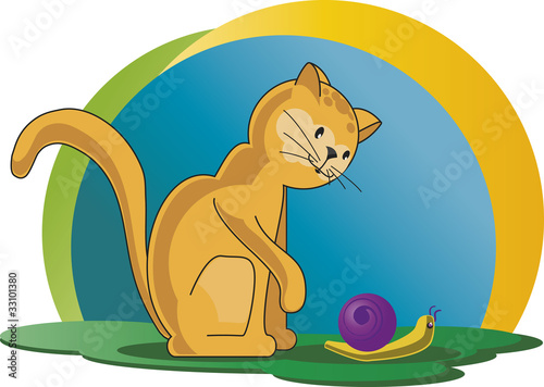Gato com caracol