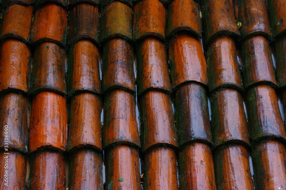 Nasse Dachpfannen Nasse Dachpfannen