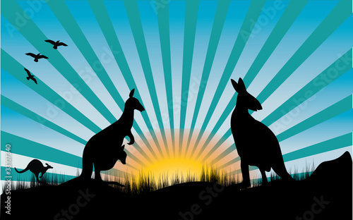 kangaroo and blue rays