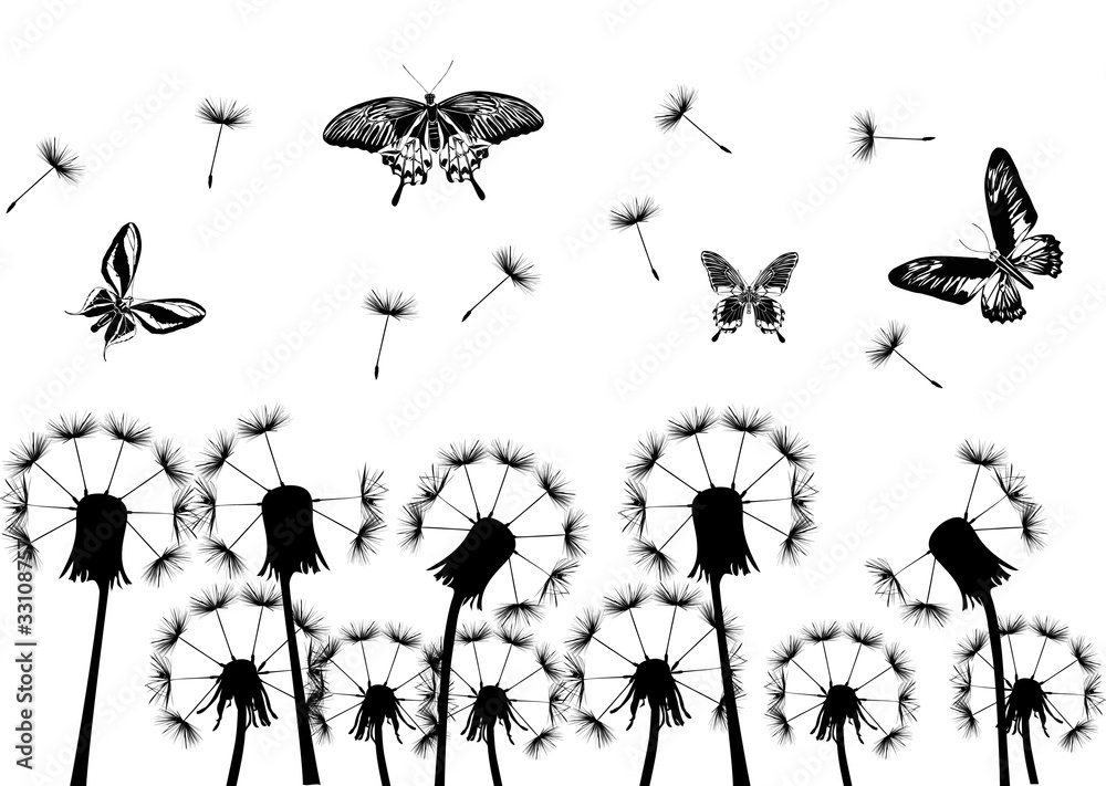 black dandelions and butterflies black dandelions and butterflies