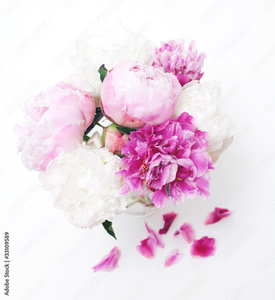 peonies peonies