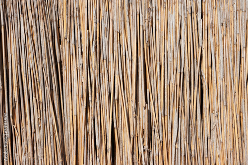 reed texture