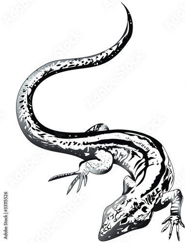 Salamander Tattoo Vorlage