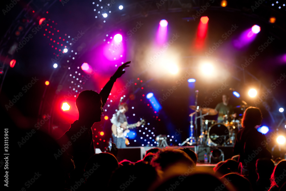 Crowd of fans at a concert