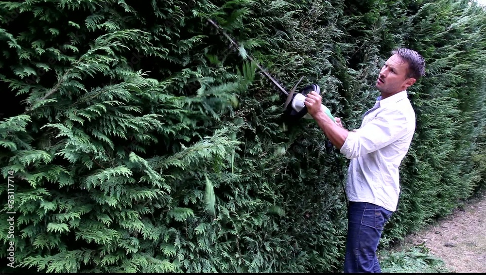 Man using hedge trimmer