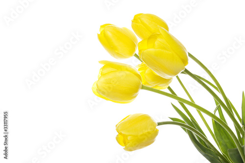 Fototapeta Naklejka Na Ścianę i Meble -  Bouquet of yellow tulips