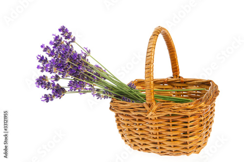 Bouquet Lavender in basket