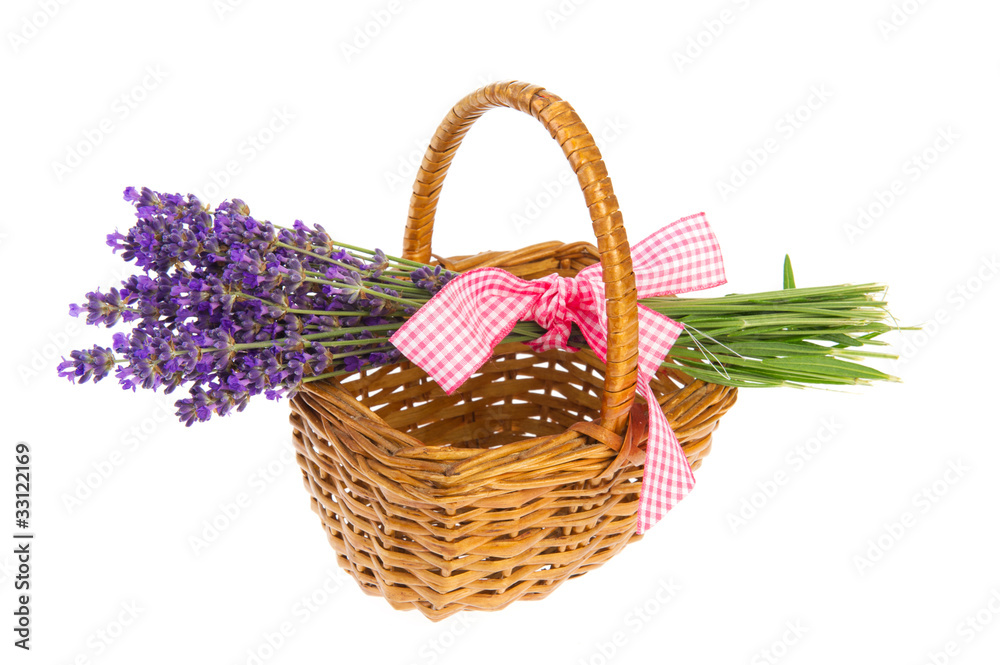 Bouquet Lavender in basket