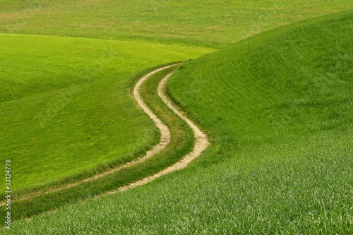 Rural way in the green meadow
