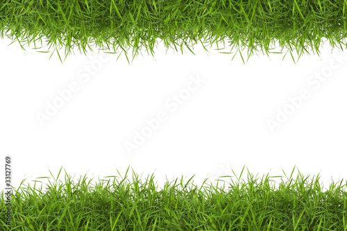 Grass frame