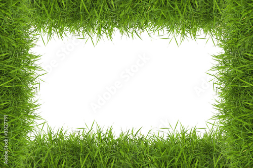 Grass frame