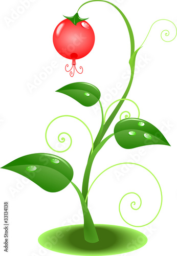 Wood berry