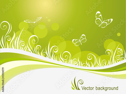 Grass and butterflies