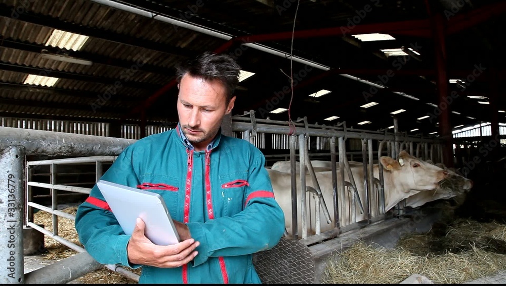Farmer in barn using electronic tablet