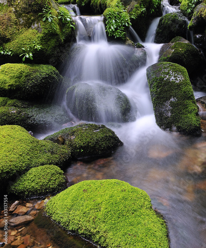 Agua de seda.