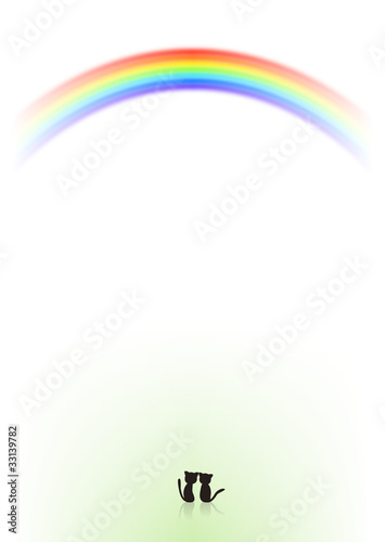 rainbow cat